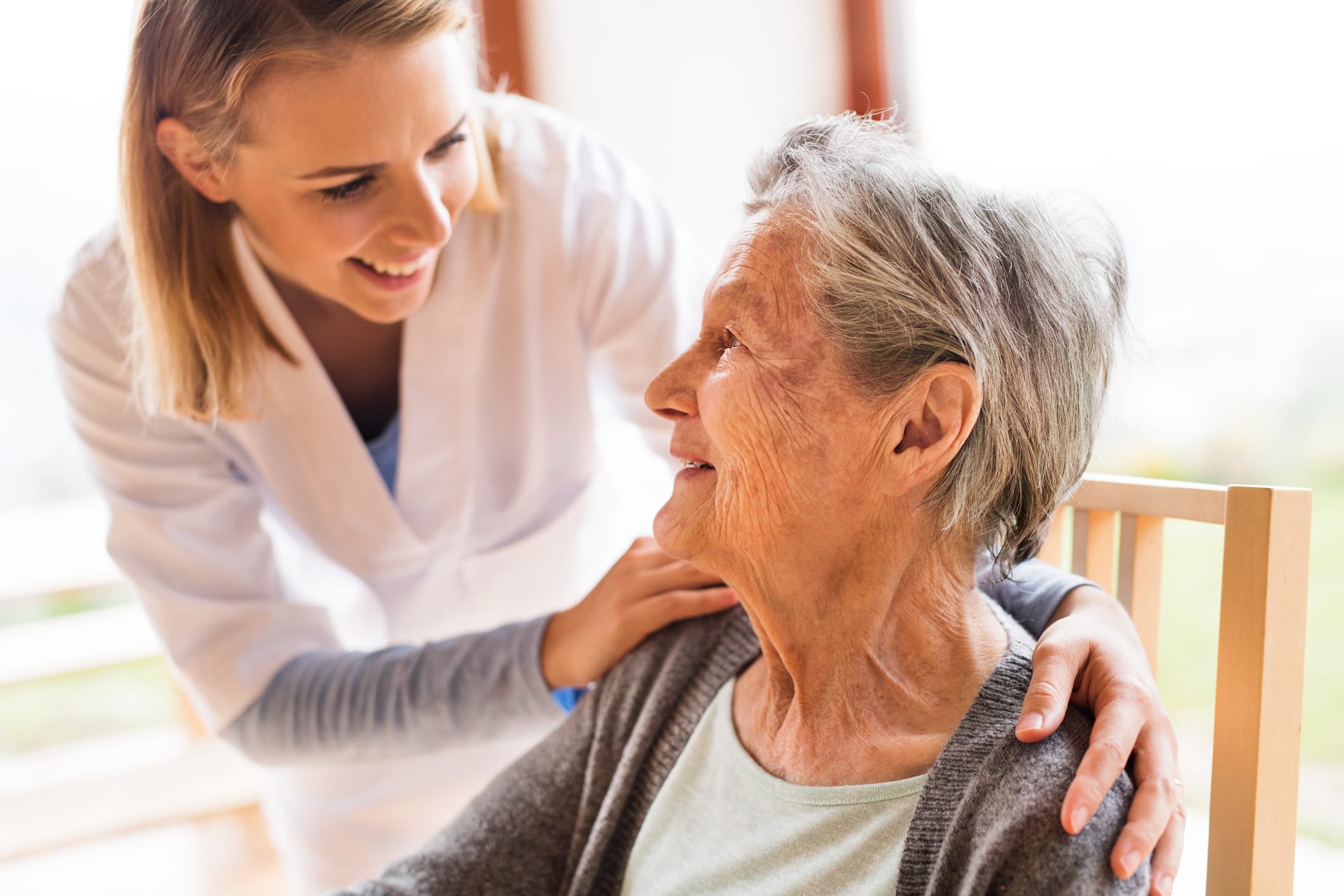 Companion